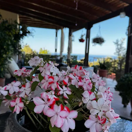Willa Beautiful Traditional Gardenia In *
